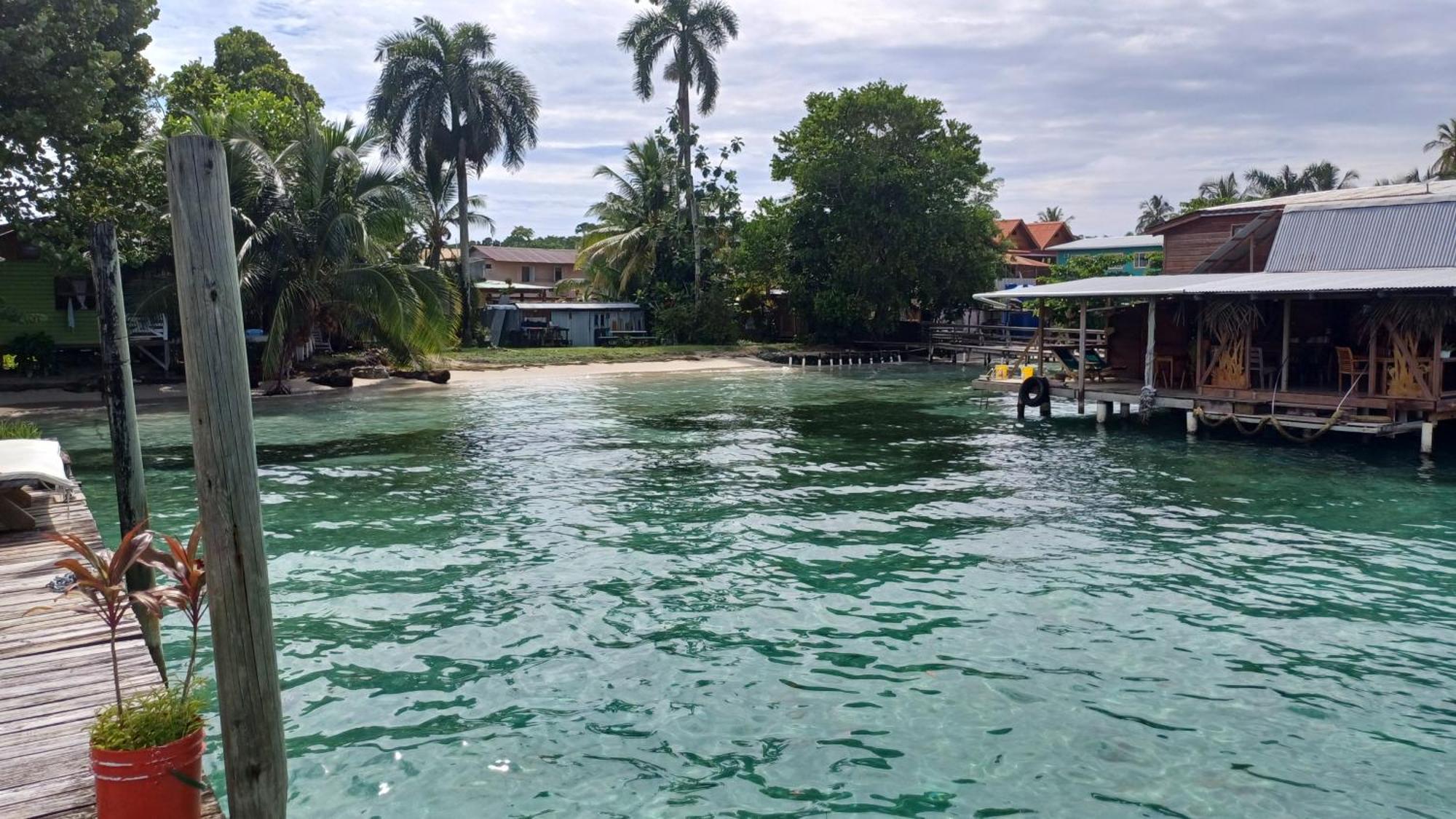 Dive And Surf 1 Apartment Bocas Town Exterior photo