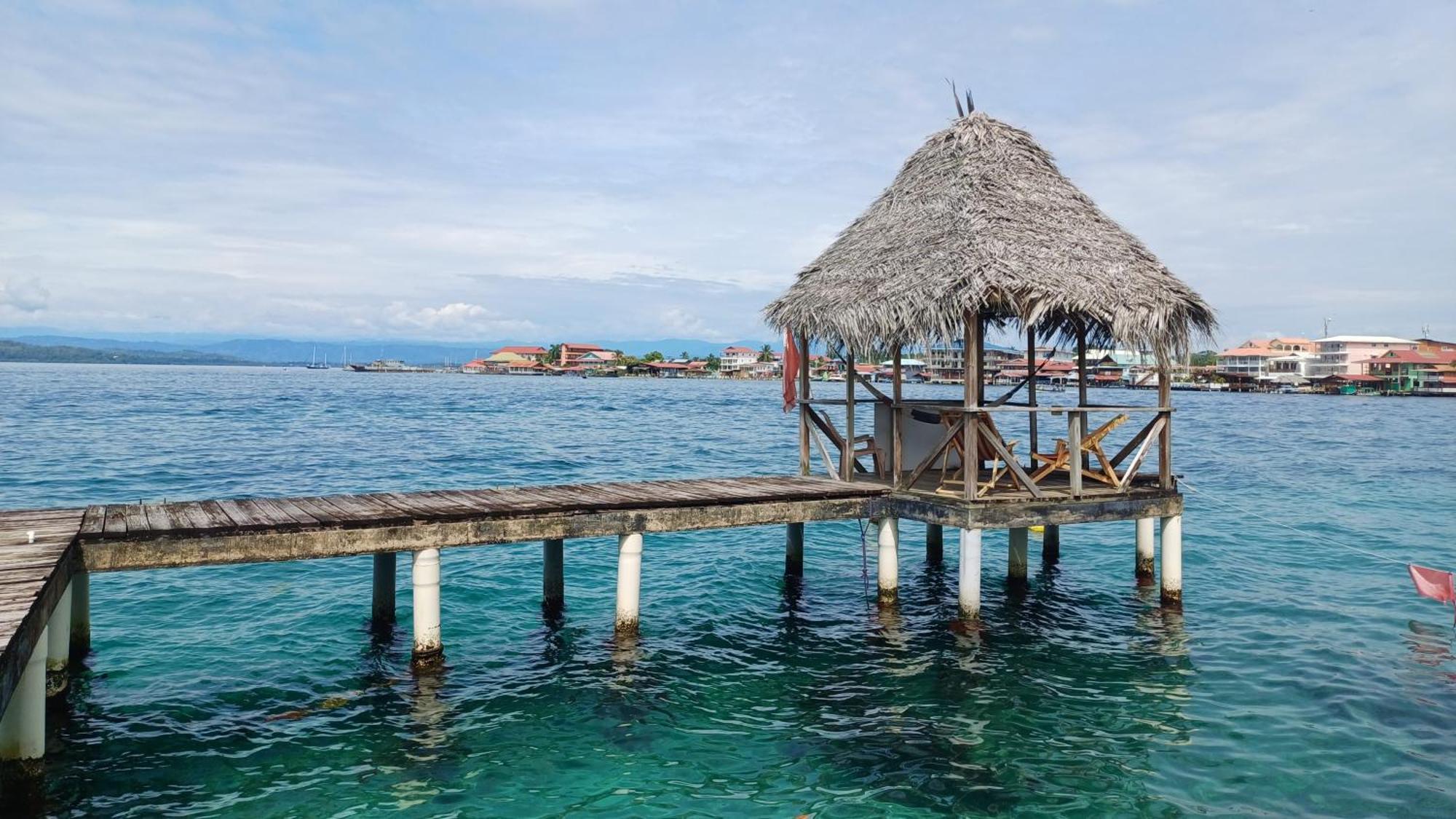 Dive And Surf 1 Apartment Bocas Town Exterior photo